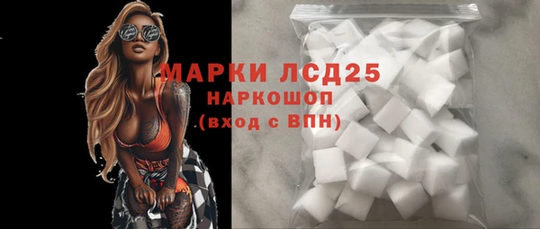 spice Аркадак