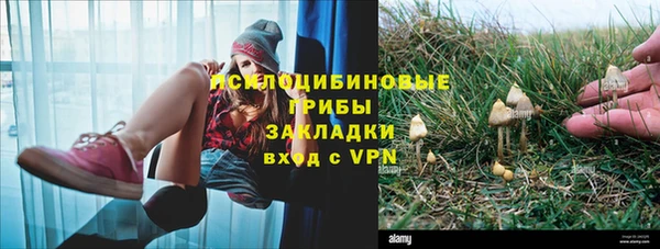 spice Аркадак