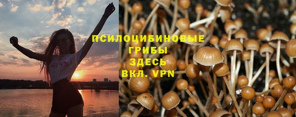 spice Аркадак