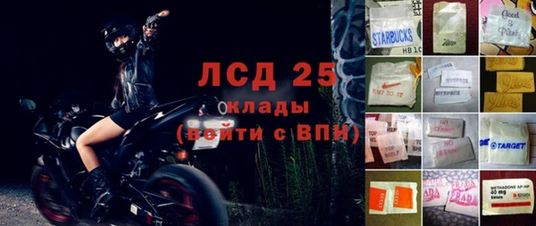 spice Аркадак